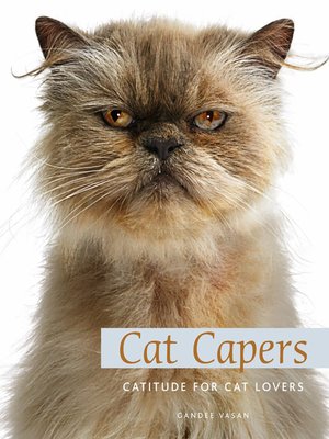 cover image of Cat Capers
